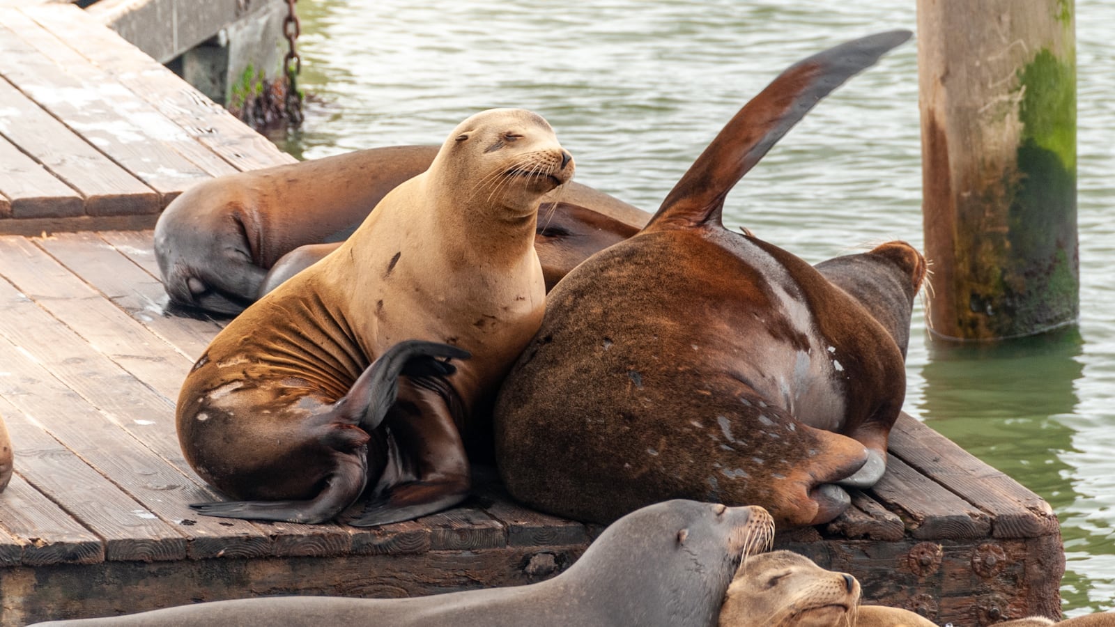 david-vives-UXWgRRa6JXQ-unsplash_jhlx8k