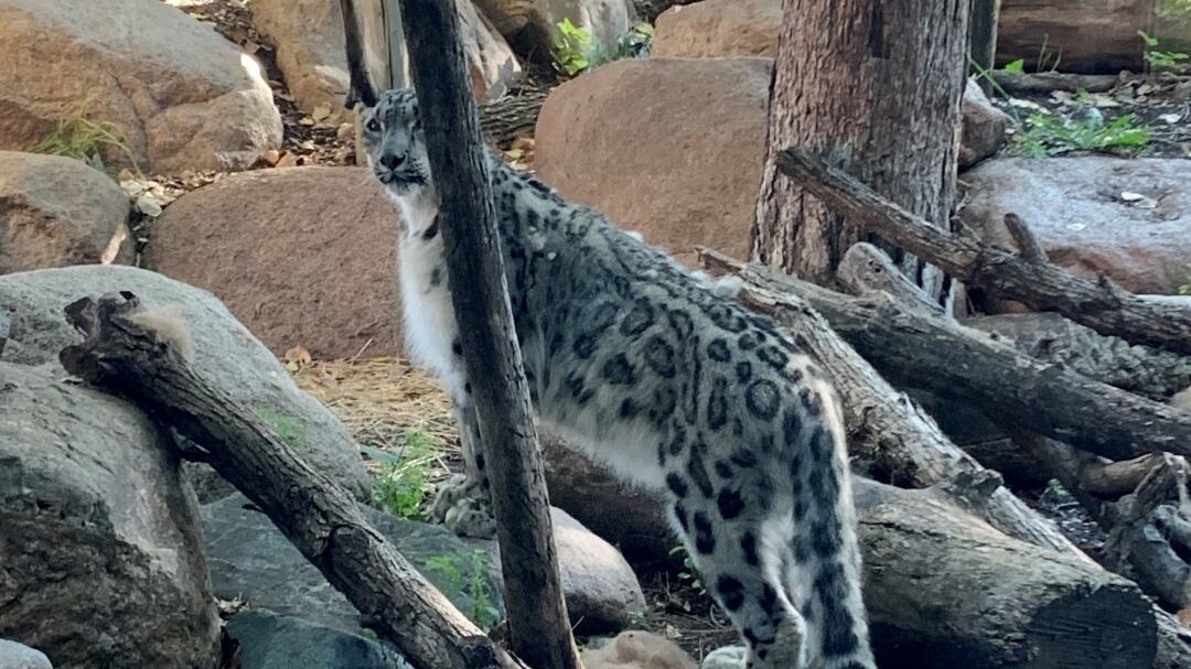 245119244_10165445646940265_7066518177165907075_n_isrf2v