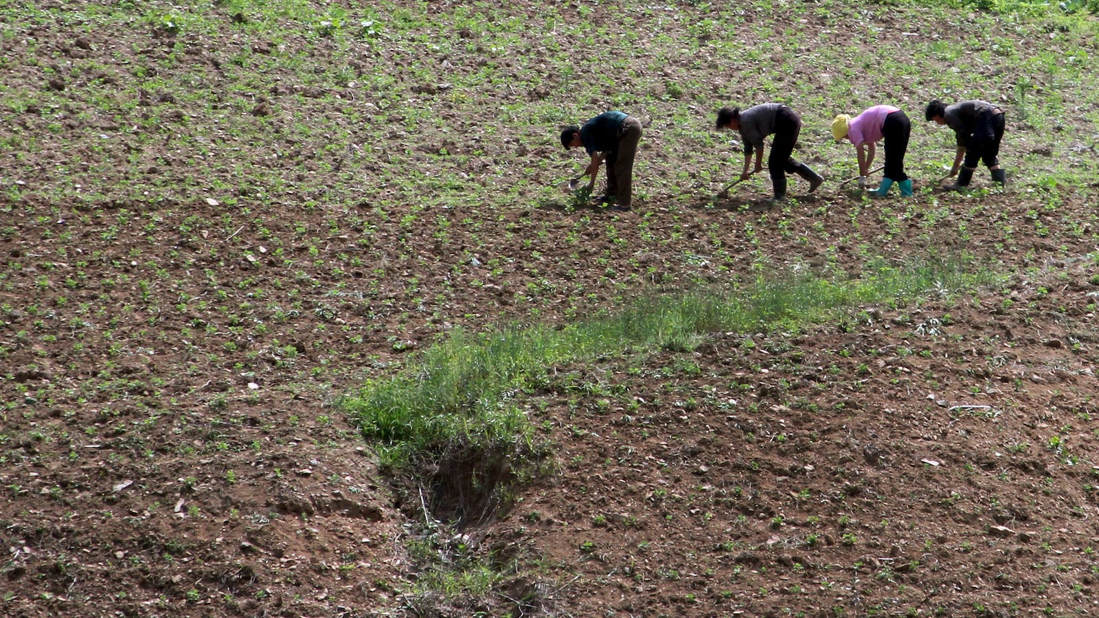 articles/2015/06/22/north-korea-s-dark-secret-100-year-drought-is-knocking-out-its-power-supply/150622-Kelemen-nkorea-drought-tease_g6h5n1