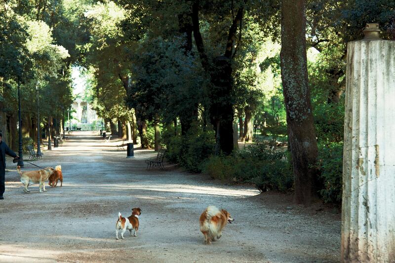 galleries/2013/10/27/city-parks-by-catie-marron-photos/131025-city-parks-7_bwackw