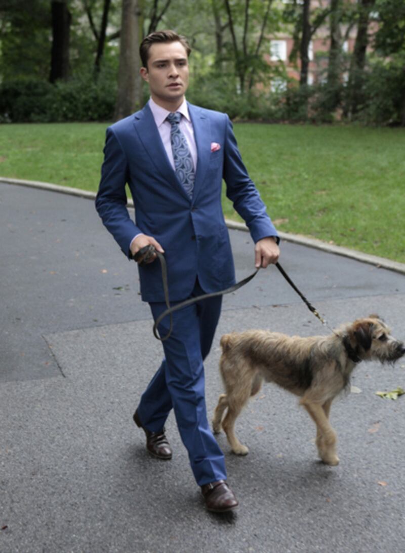 galleries/2011/12/05/uggy-and-other-famous-dogs-of-2011-photos/year-in-dogs-monkey-gossip-girl_poawwk