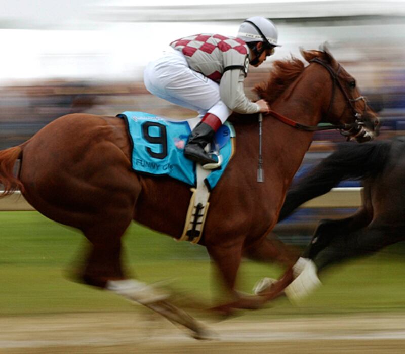 galleries/2011/05/05/top-racehorses/top-racehorses---funny-cide_fdfrpy