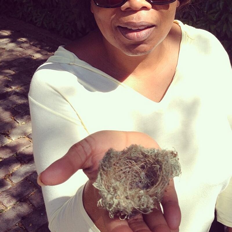 galleries/2014/04/12/oprah-james-franco-the-week-s-best-celebrity-selfies/140411-selfies-oprah_rojurp