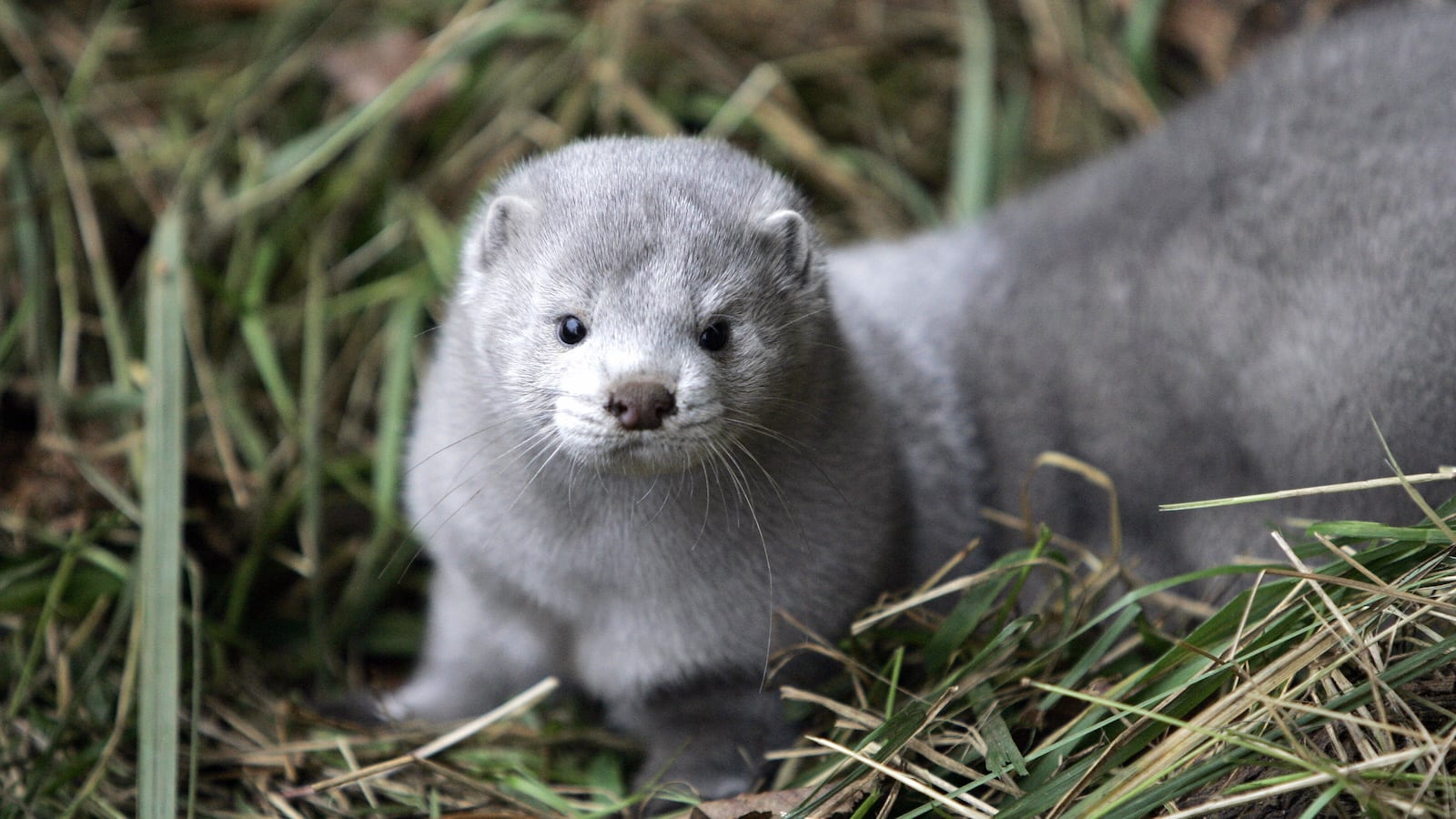 GettyImages-77534560_eihx6d