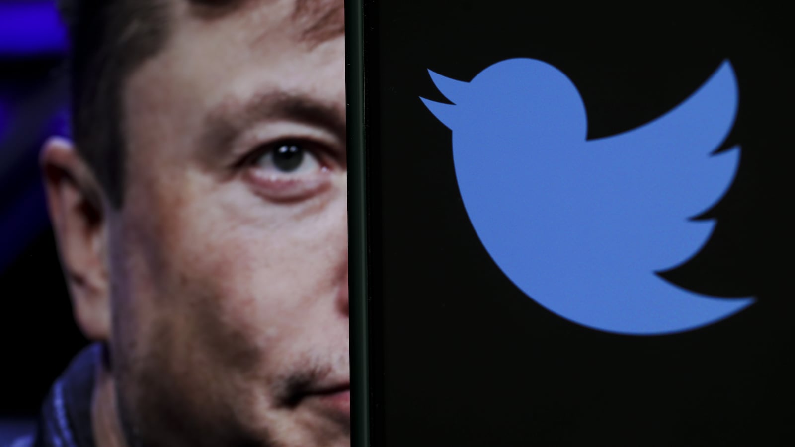 Elon_Musk_Twitter_gk0bhz