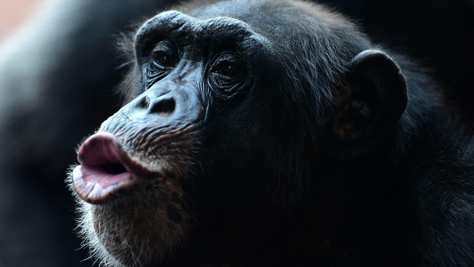 GettyImages-1217497663_f8vijd