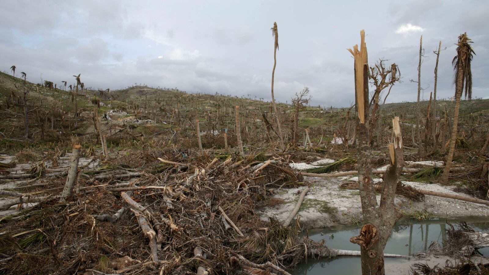 cheats/2016/10/11/1-4m-need-aid-in-haiti-after-hurricane-matthew-u-n-says/161010-haiti-un-appeal-aid-cheat_lbpf10