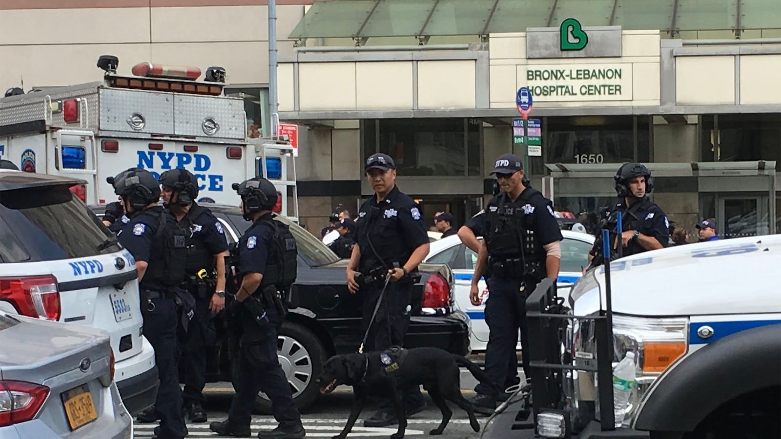 170630-daly-bronx-shooting-tease_vywbvv