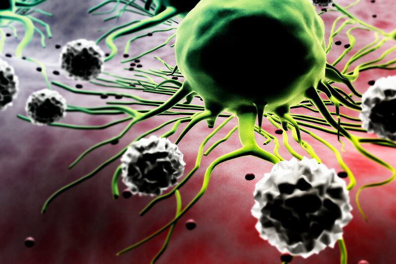 galleries/2011/12/26/scientific-advances-of-2011/scientific-advances-big-small-2011-gal-cancer_ofcket