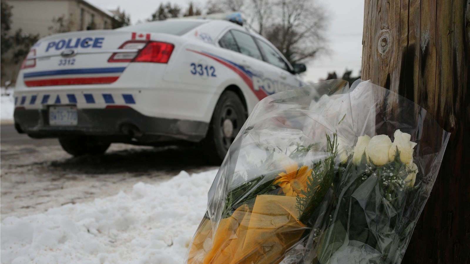 180121-sherman-cheat_ydsza3