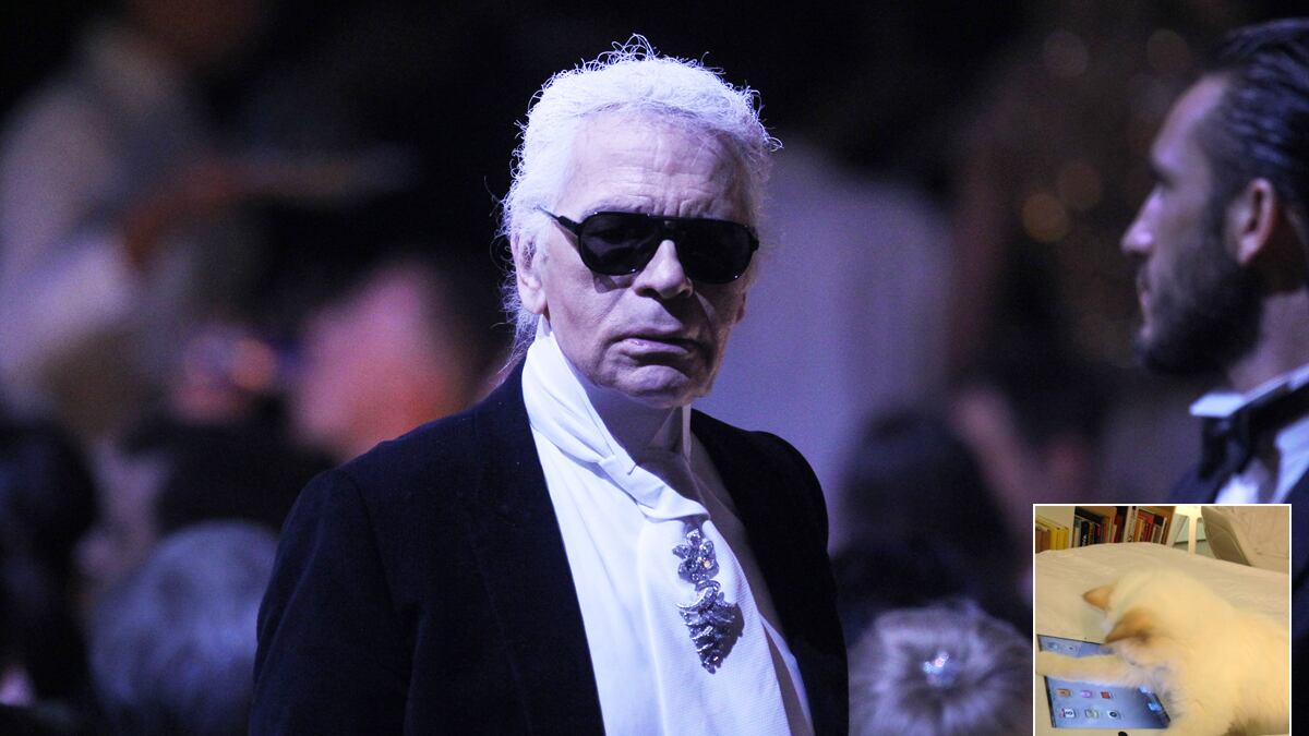 articles/2012/06/07/7-facts-to-know-about-karl-lagerfeld-s-siamese-cat-choupette/karl-lagerfeld-cat-wilkinson_d6zefq