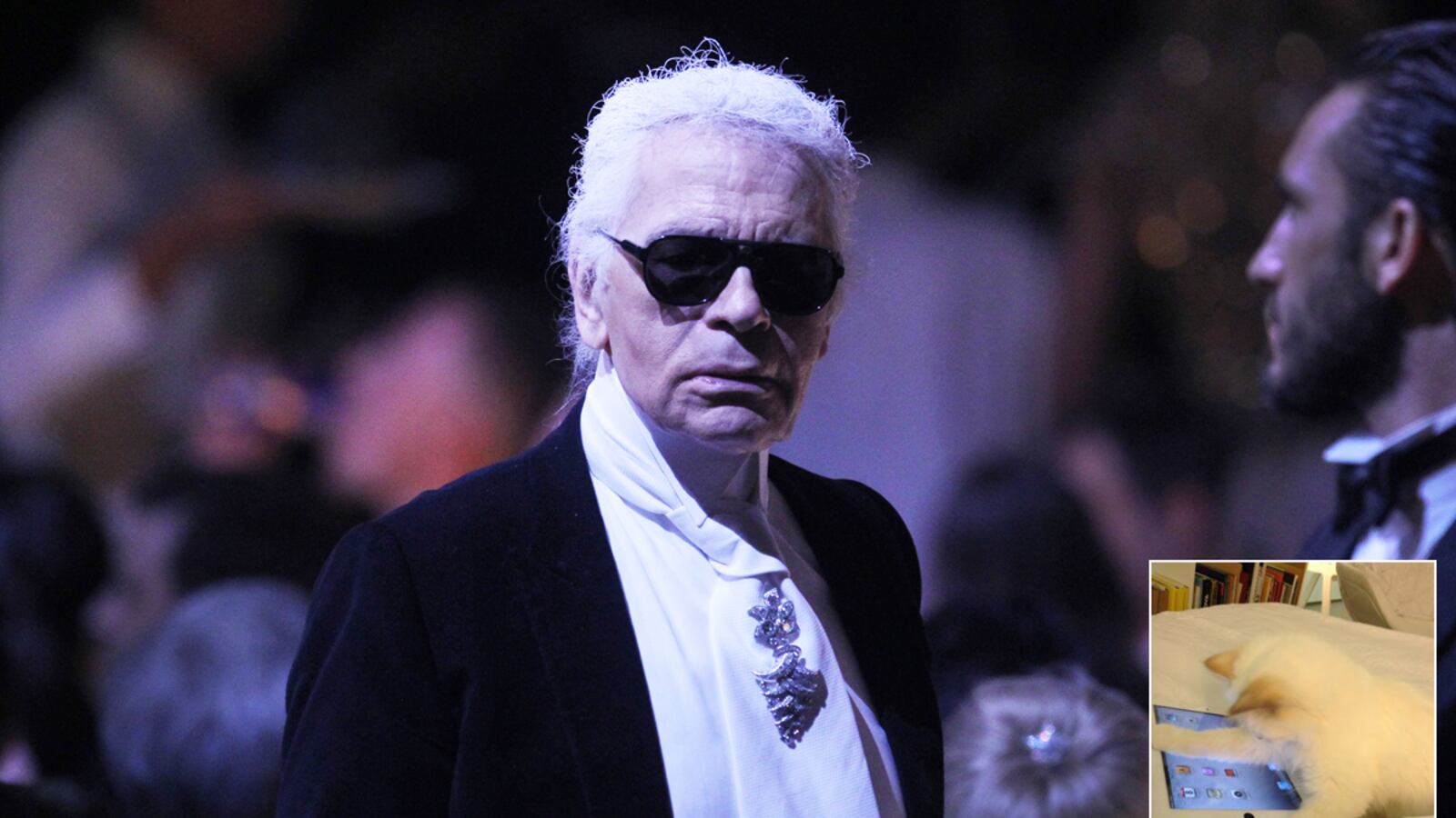 articles/2012/06/07/7-facts-to-know-about-karl-lagerfeld-s-siamese-cat-choupette/karl-lagerfeld-cat-wilkinson_d6zefq