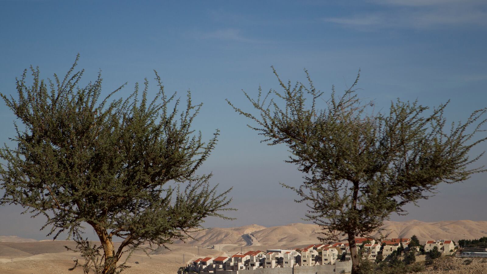 articles/2013/03/14/paved-with-good-intentions-lined-with-settlements/israeli-settlement-ephron_xlgycm