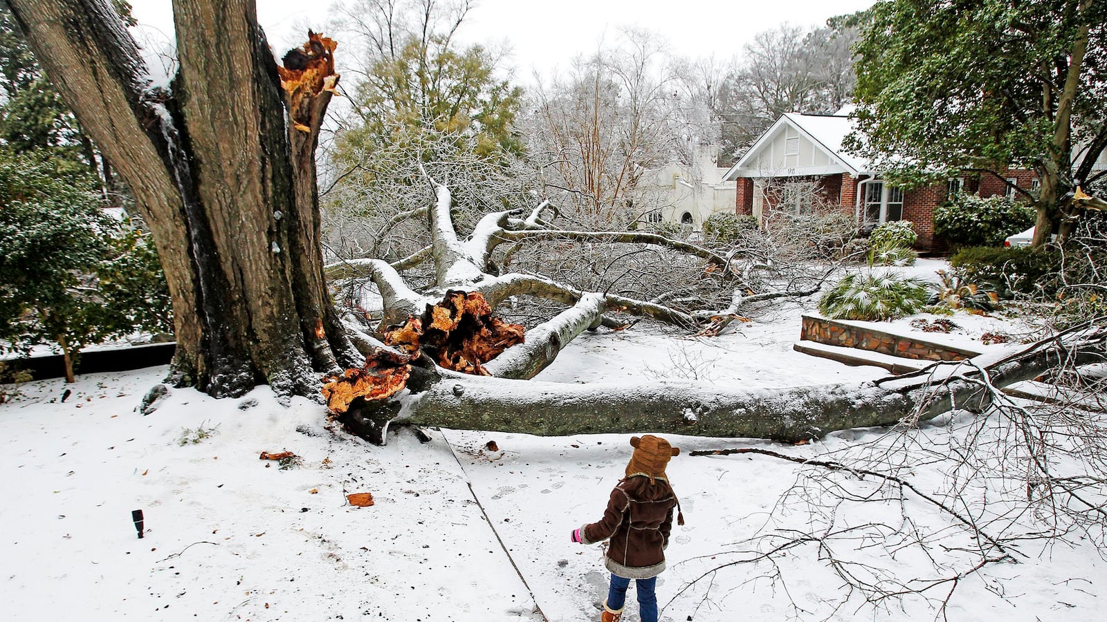 cheats/2014/02/15/4-1-earthquake-rattles-south-carolina/140215-south-carolina-cheat_jtdslw