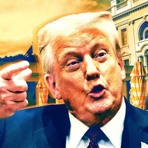 Trump is grumpy of damaged stonework in the White House Garden.