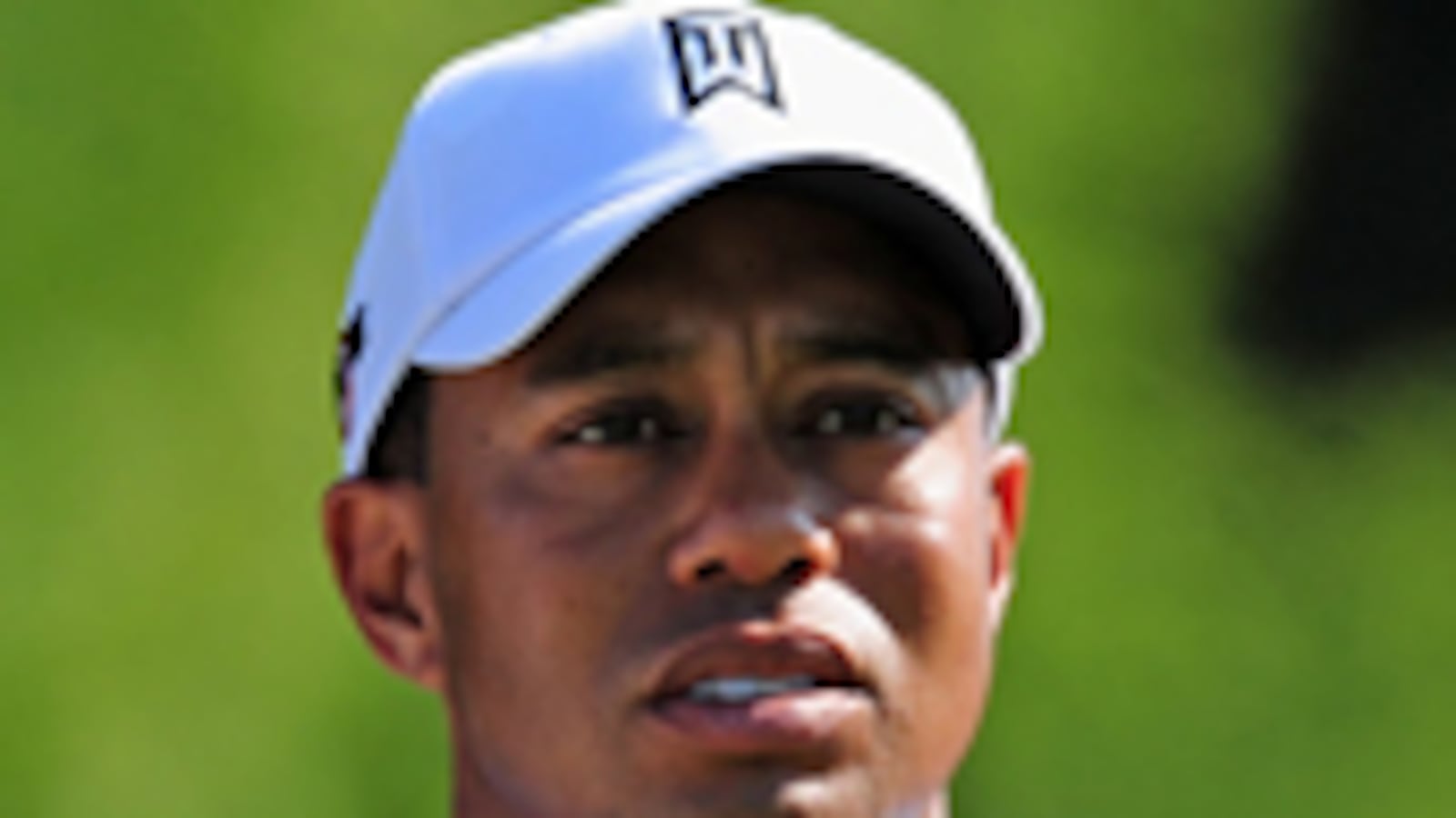 articles/2009/12/08/harem-management-101/quan-tiger-woods-harem_67883_exkav4