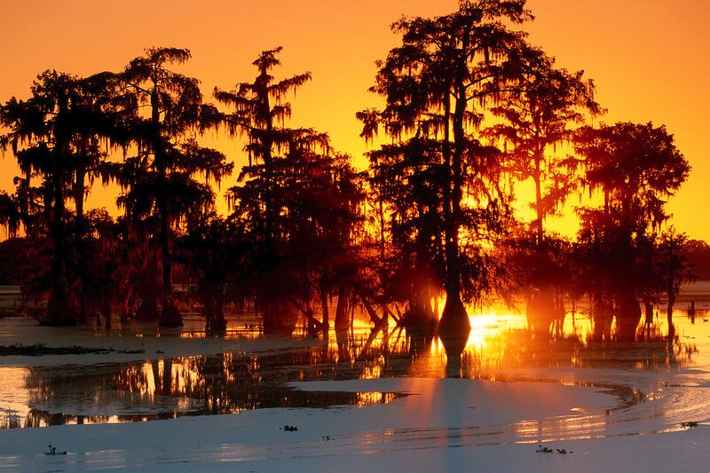 galleries/2012/01/20/girl-scout-cities-photos/13-Lafayette_tixy2e