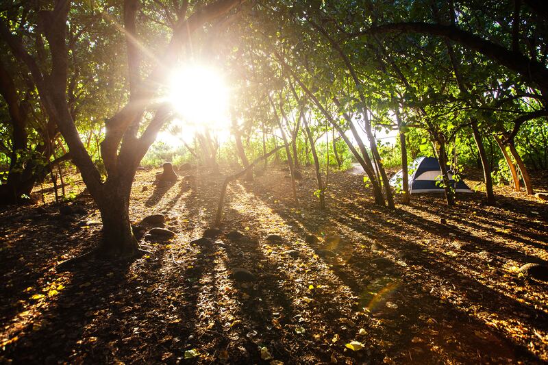 180622-ross-hawaii-hike-5_oq3lmd
