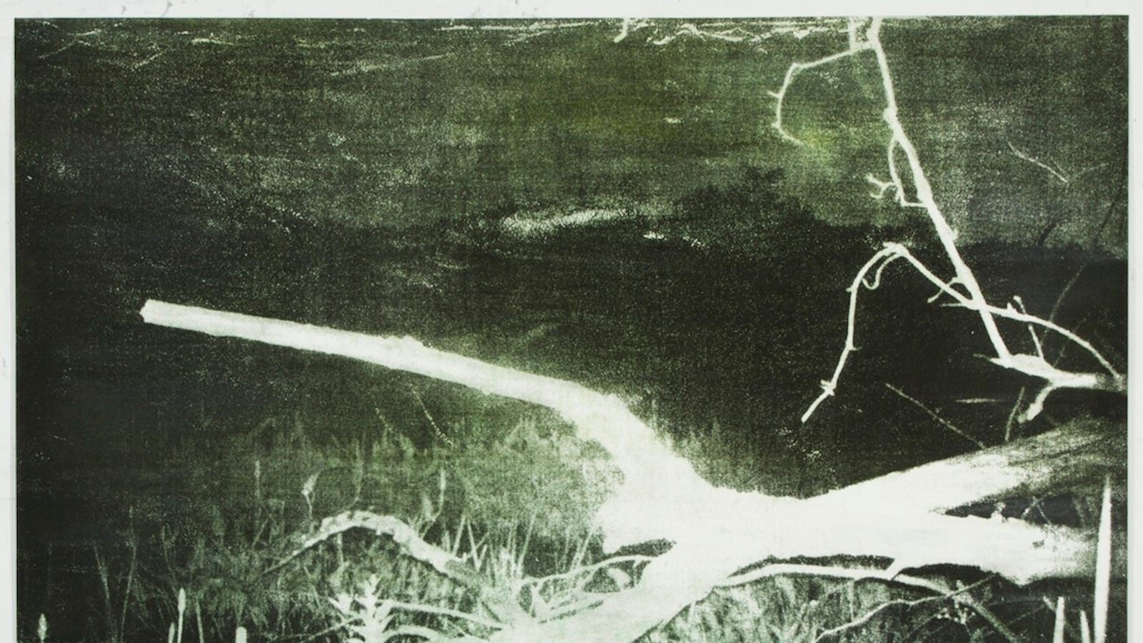 articles/2012/11/09/glen-baldridge-at-von-nichtssagend-is-the-daily-pic-by-blake-gopnik/baldridge-daily-pic_lc8m8m