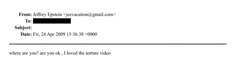 A screenshot of the "tortue video" message.