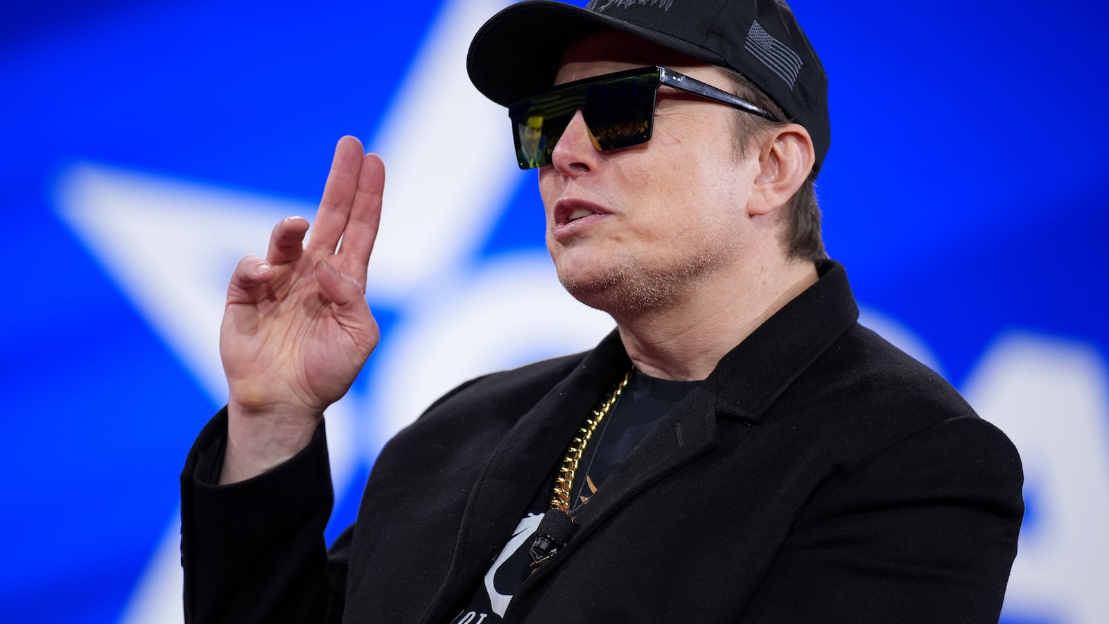 CEO of Tesla and SpaceX Elon Musk speaks at the Conservative Political Action Conference (CPAC) at the Gaylord National Resort Hotel And Convention Center on February 20, 2025 in Oxon Hill, Maryland.