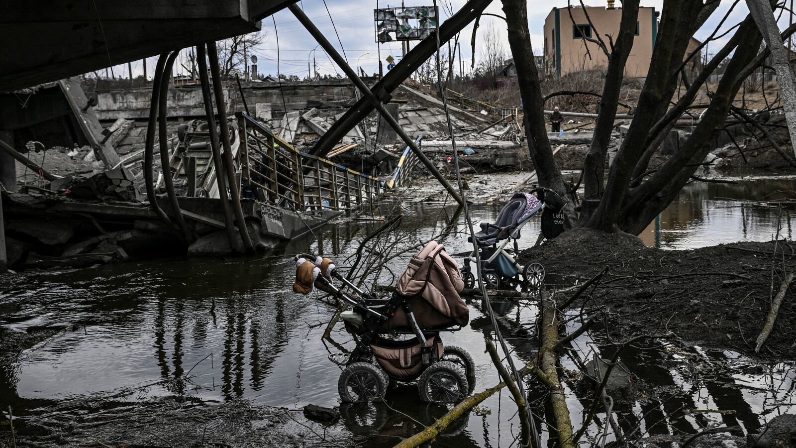 GettyImages-1239006545_ebud17