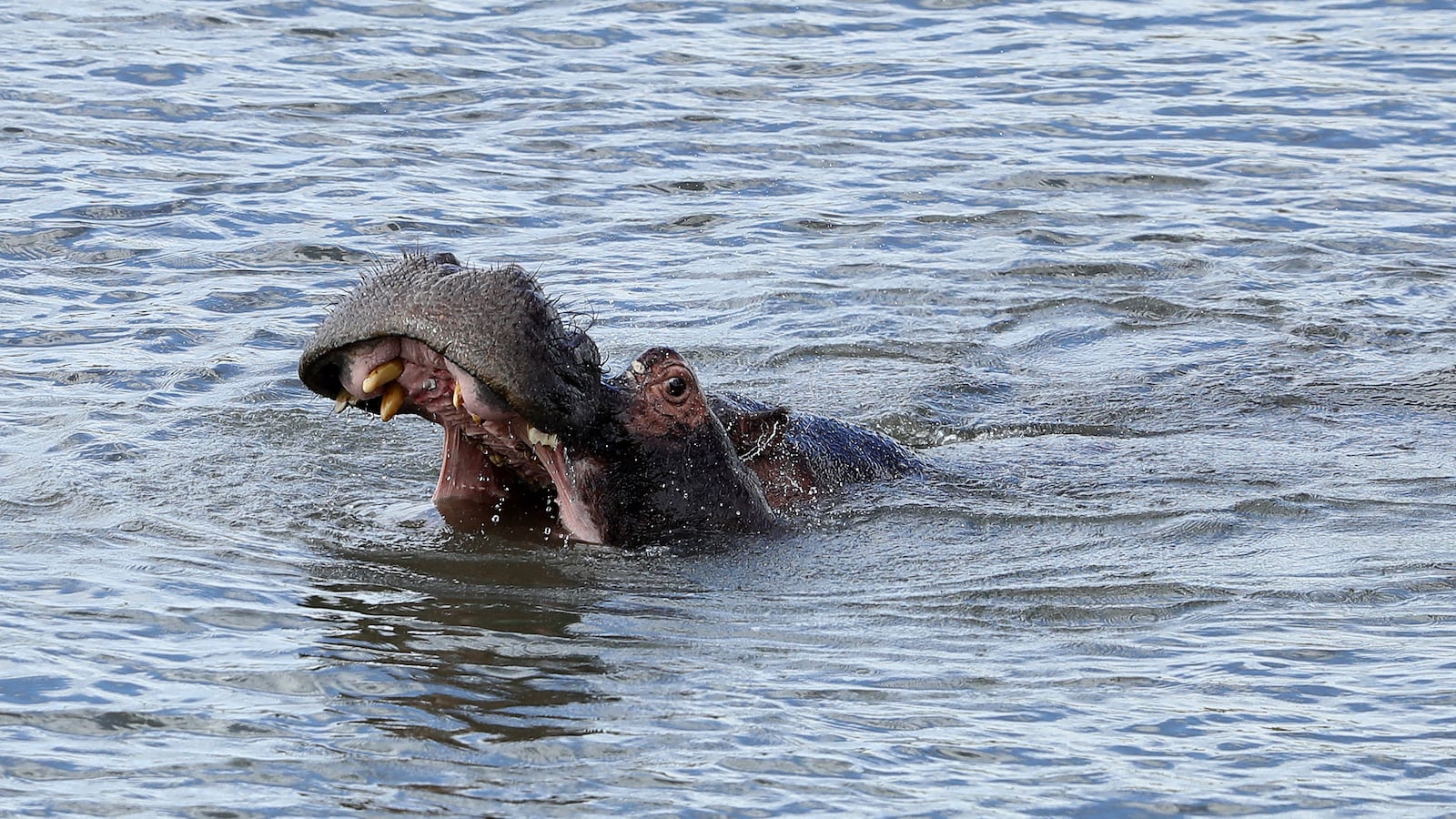 GettyImages-1288257493_rqfs6h