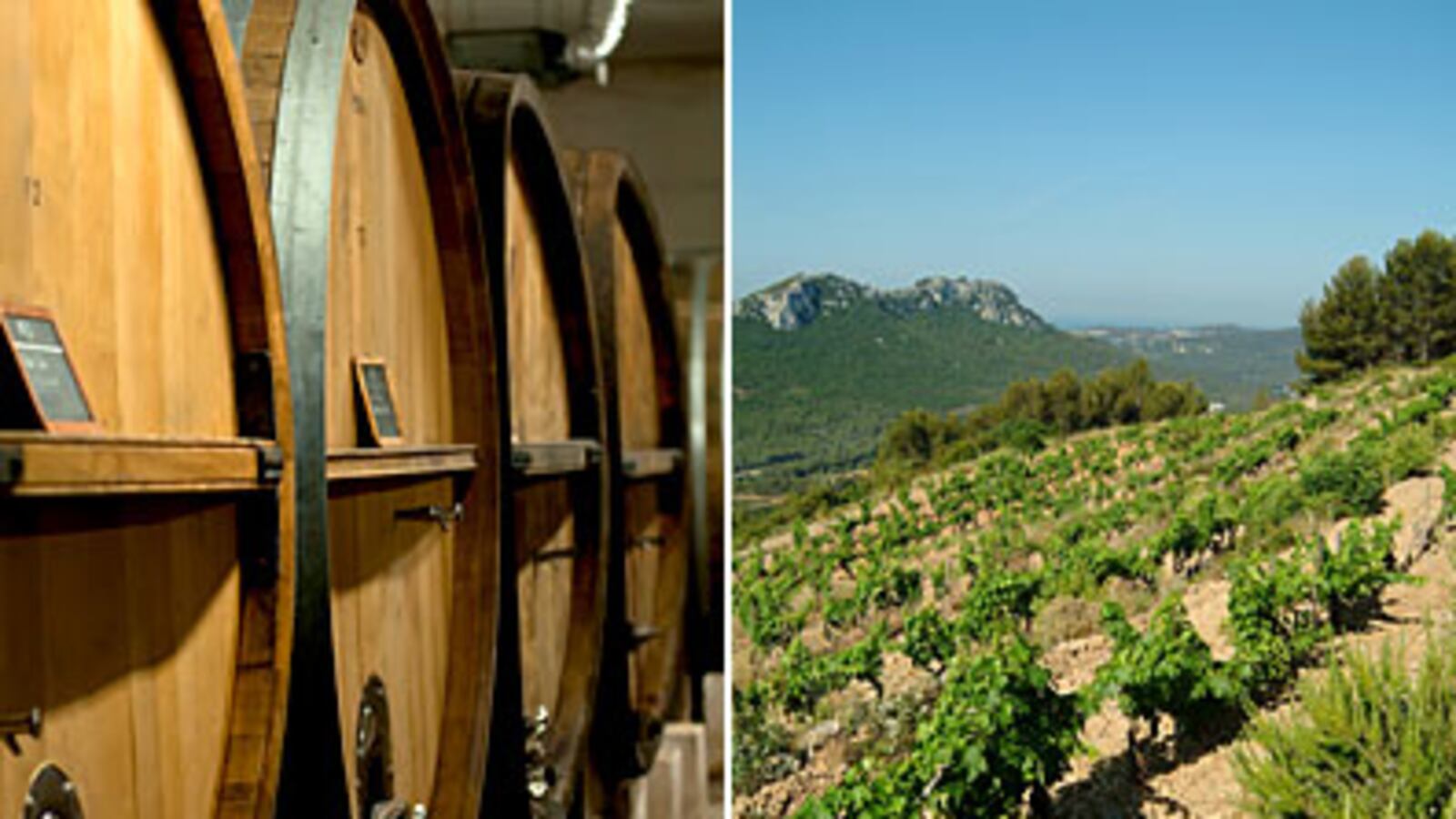 articles/2010/08/14/alice-waters-on-her-favorite-summer-foods-from-a-french-vineyard/summer-food-alice-waters_117643_hfw2ll