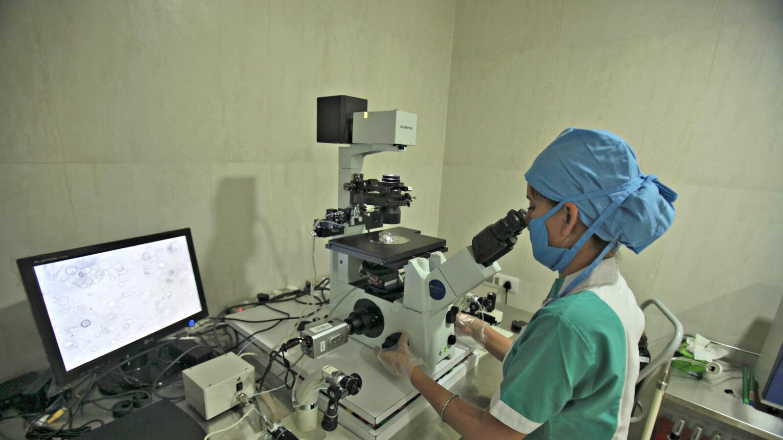 cheats/2016/07/19/study-ivf-doesn-t-raise-breast-cancer-risk/160719-ivf-study-cheat_vdsh6u