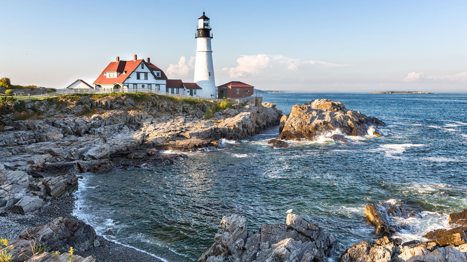 200802-plumber-maine-shark-hero-final_hoog4d