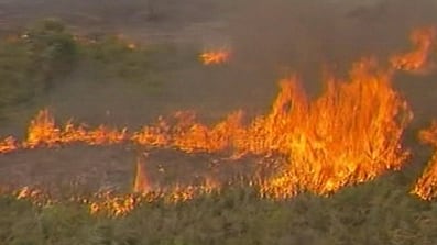 cheats/2009/02/08/australias-deadly-wildfires/australia-wildfires-_pdkt2w
