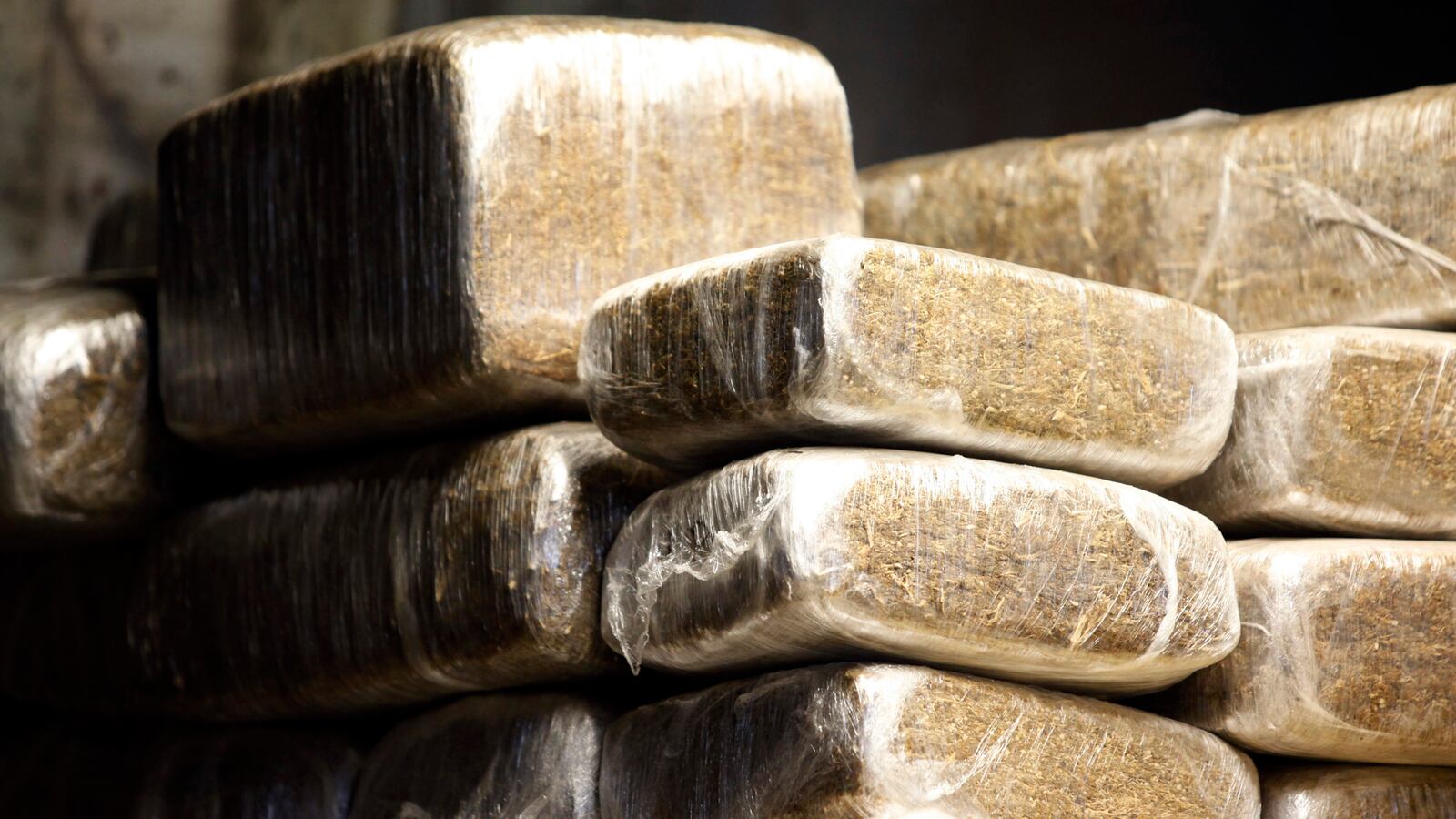 articles/2014/04/22/are-the-feds-hoarding-pot/140421-weed-wackers-tease_cdphjr