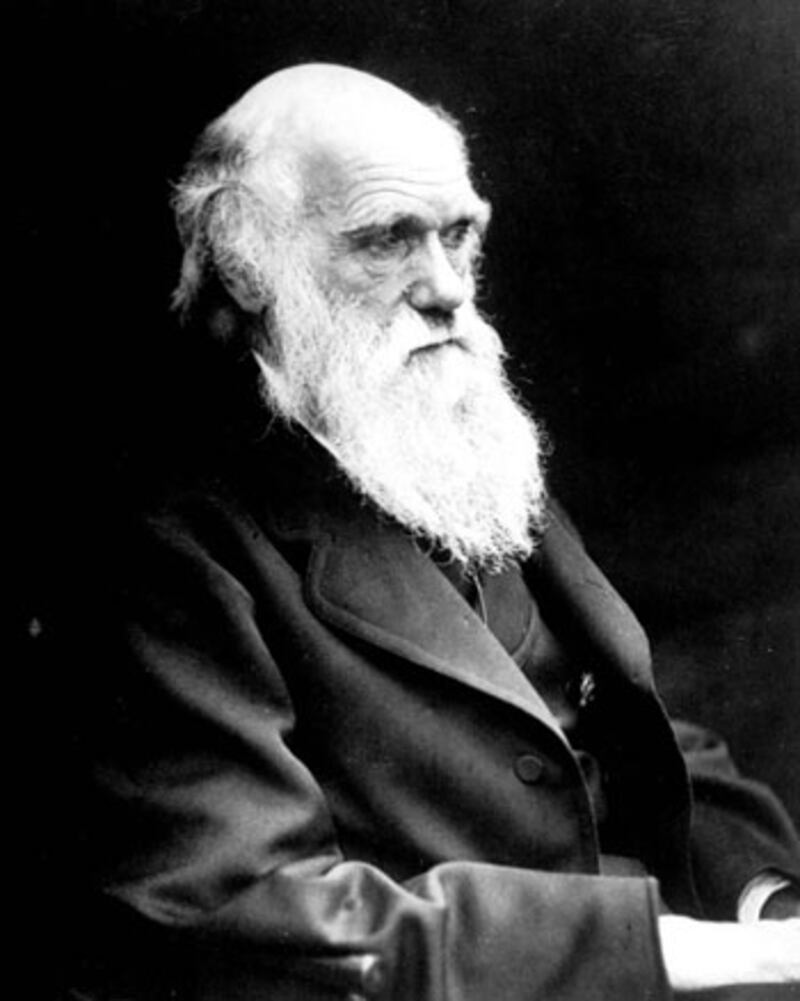 galleries/2009/09/25/family-affairs/incest---charles-darwin_bcabam