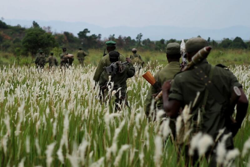 galleries/2014/11/06/a-belgian-prince-gorillas-guerrillas-the-future-of-virunga-photos/141105-congo-prince15_skbehb