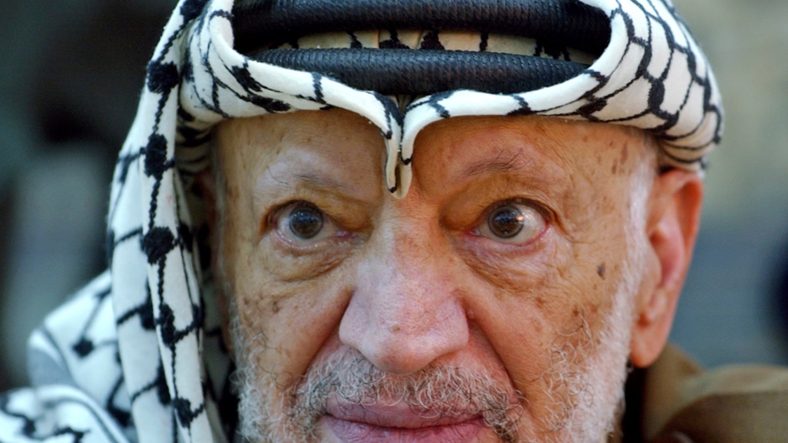 cheats/2012/11/27/yasir-arafat-s-body-exhumed/arafat-exhumed-radiation-cheat_hd3r2k