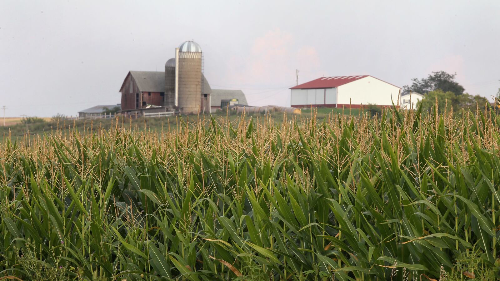 articles/2013/04/12/why-don-t-we-eliminate-farm-subsidies/why-don-t-we-eliminate-farm-subsidies-image_ayhfqn