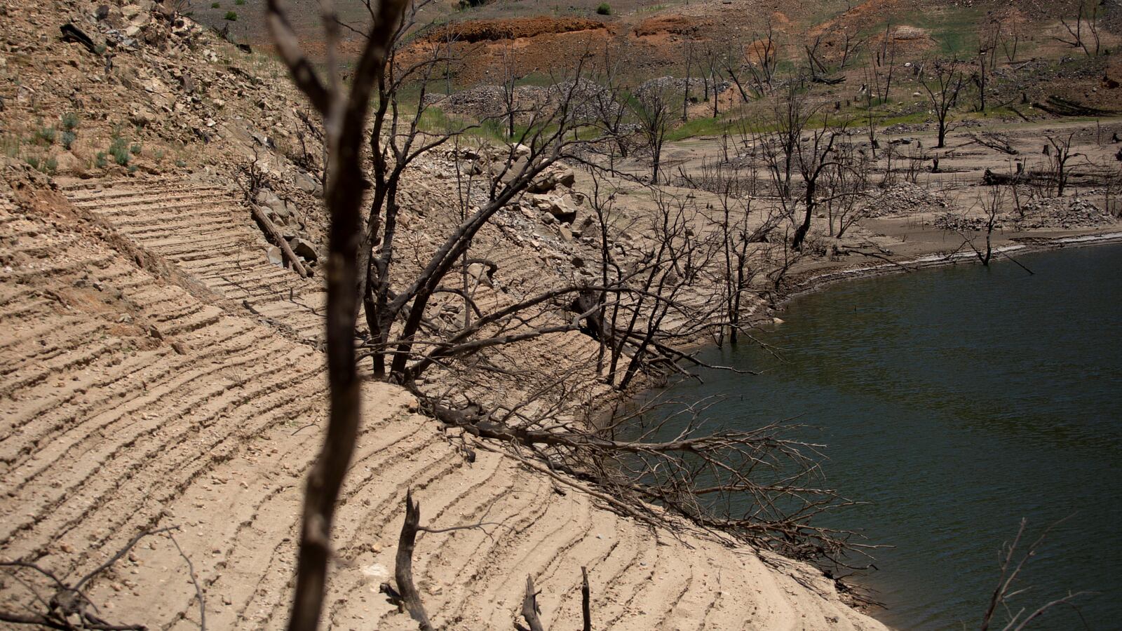 2021-06-17T223056Z_254327080_RC2Q1O9NWDPN_RTRMADP_3_USA-WEATHER_jwvxsr