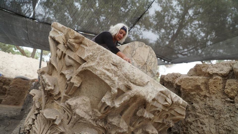 192799034_639057197491763_5208081368328158867_n_afabtm