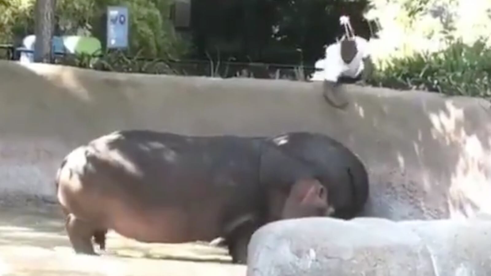 Screen_Shot_2018-08-14_at_11.25.06_czgbov