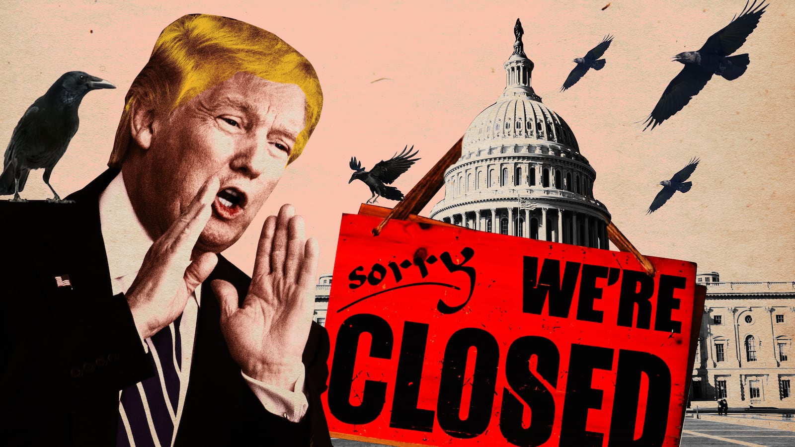 190111-swin-shutdown-long-tease_u1bqod