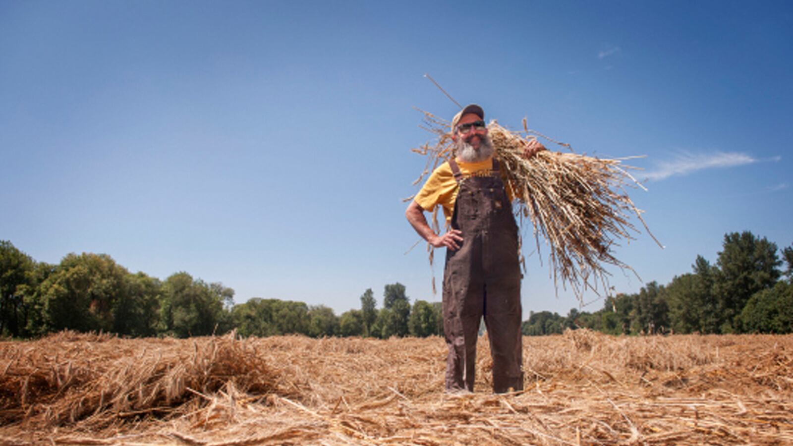 articles/2014/06/09/the-hop-crazy-master-brewer/140606-john-maier-tease_vor3xc