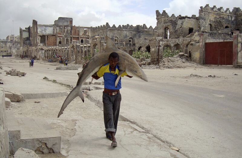 galleries/2011/02/11/world-press-photo-awards/world-press---omar-feisal_mlgfas
