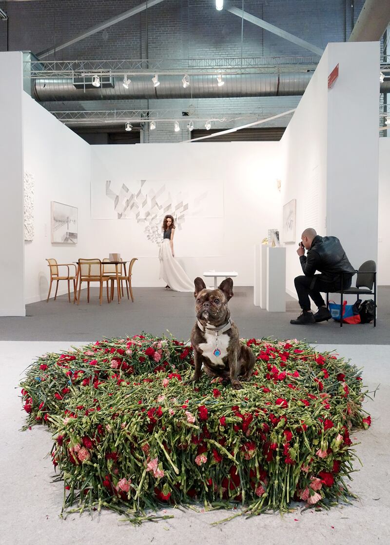 galleries/2015/03/10/meet-pickle-the-art-world-s-favorite-canine-blogger/150309-pickles-art9_edvdvr