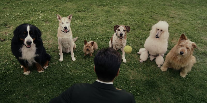 Colin Farrell in "Sugar."