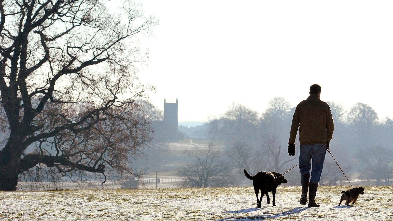 2010-12-25T000000Z_1115955696_GM1E6CP1PMZ01_RTRMADP_3_BRITAIN_ms5mty