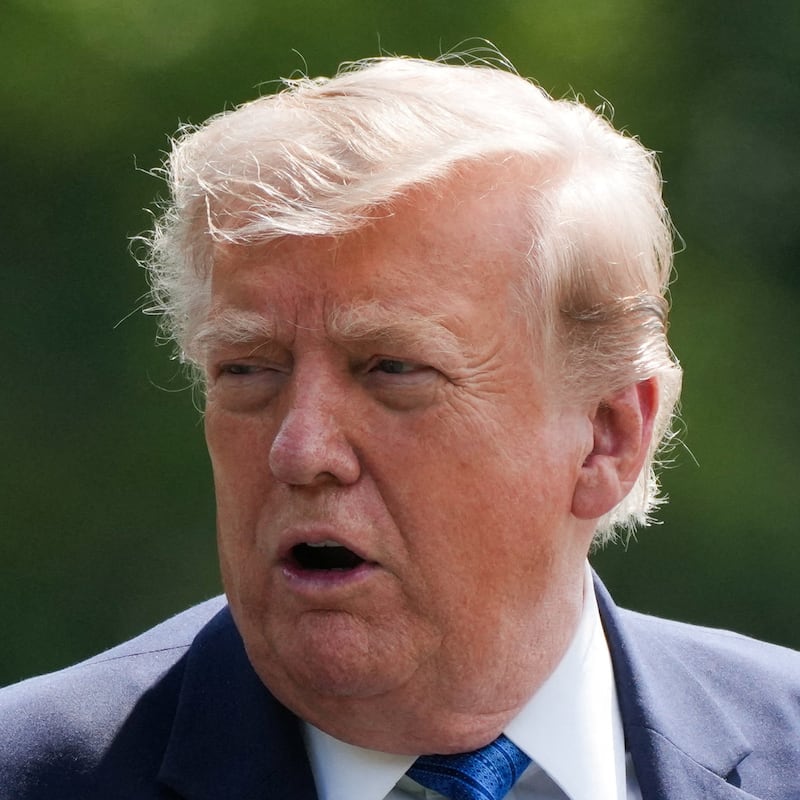 Donald Trump blames imagined "radical" vandals for botched Reflecting Pool work.