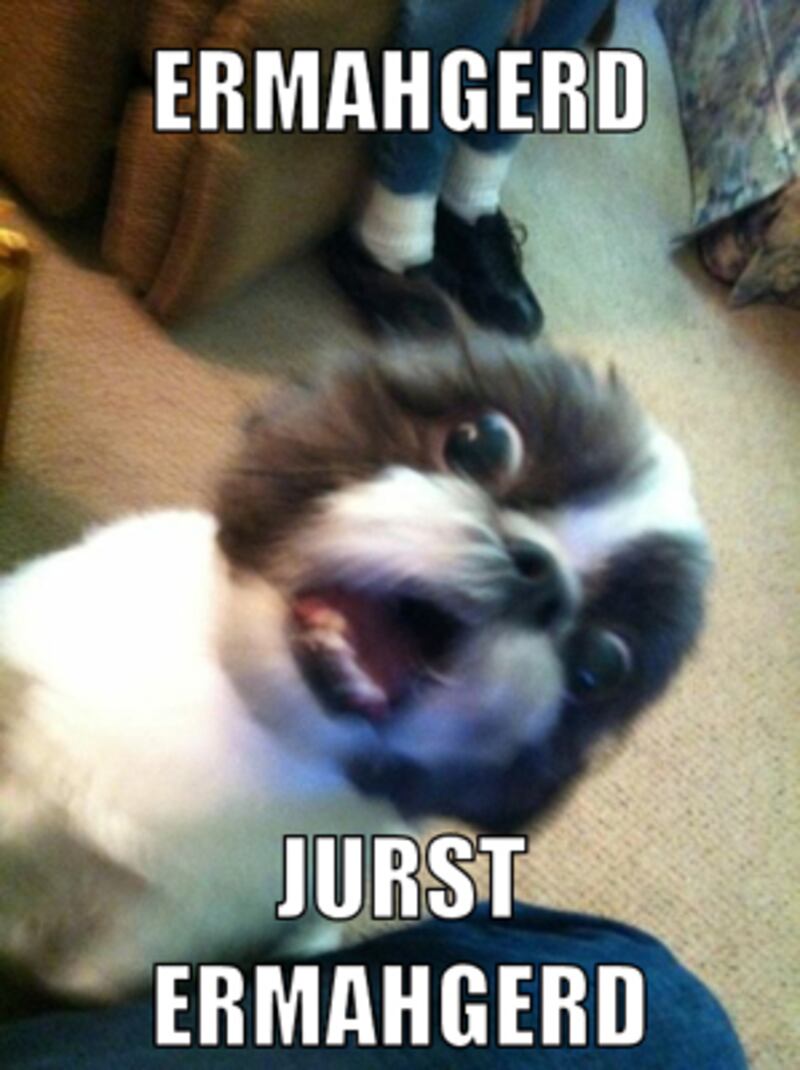 galleries/2012/06/23/meme-of-the-week-ermahgerd-animals/meme-of-the-week-ermahgerd-animals-4_wxsiud