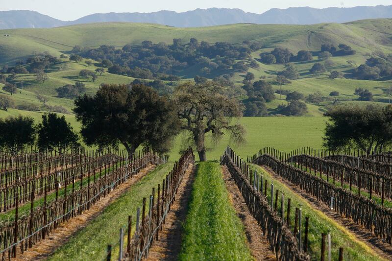 galleries/2012/04/20/america-s-greenest-cities-2012-from-new-york-to-san-francisco/greenest-cities-8-santa-barbara_xyo3hg