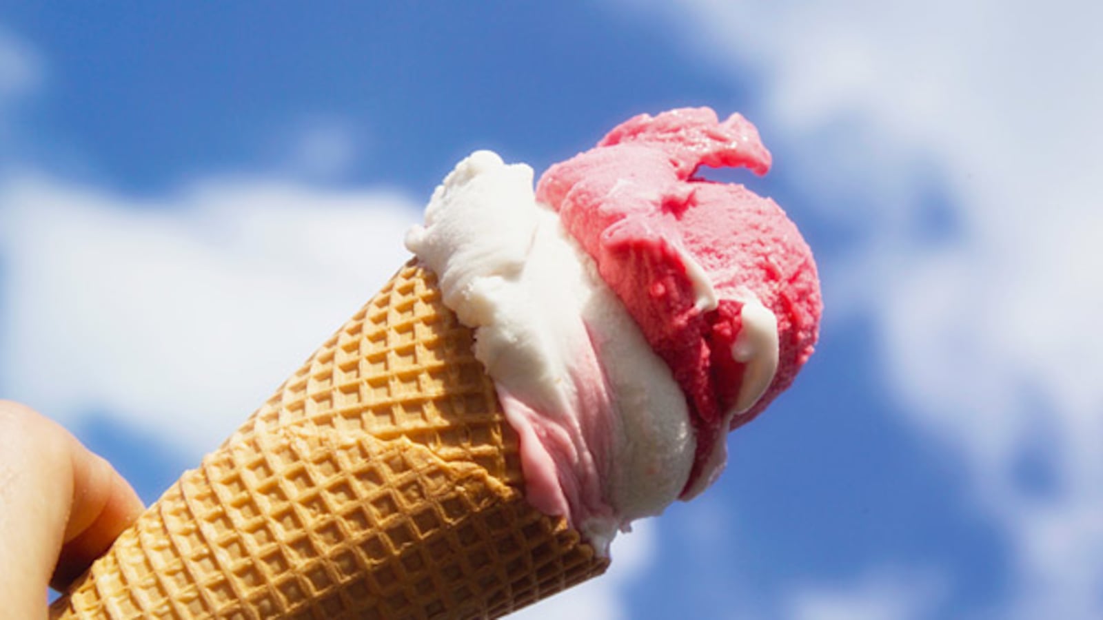 cheats/2011/09/30/danish-stores-will-charge-more-for-fatty-foods/double-dip-recession-hsmall_odddmk