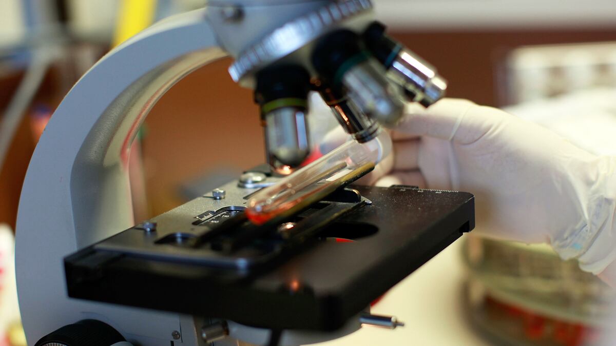 cheats/2012/10/17/researchers-disprove-five-second-rule/five-second-rule-food-cs_nwghih